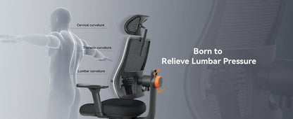 NEWTRAL MAGICH003 Ergonomic Office Chair with Adaptive Lumbar Support, Auto-Following Backrest, Adjustable Headrest, 3D Armrests & Seat Depth