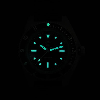Watchdives WD1972 Quartz Watch VH31 Sweep Seconds Movement Sapphire Crystal BGW9 Luminous 20Bar Waterproof Vintage Men's Watches