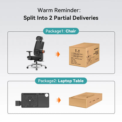 NEWTRAL NT001 Ergonomic Office Chair with Auto-Following Lumbar Support, 3 Recline Angles, Adjustable Backrest Armrest Headrest