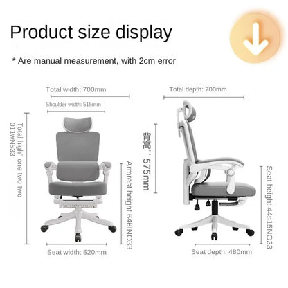 Ergonomic Mesh Office Chair with Lumbar Support, High Back Computer Desk Chair, Adjustable Comfortable Office Chair for Work, Gaming & Study