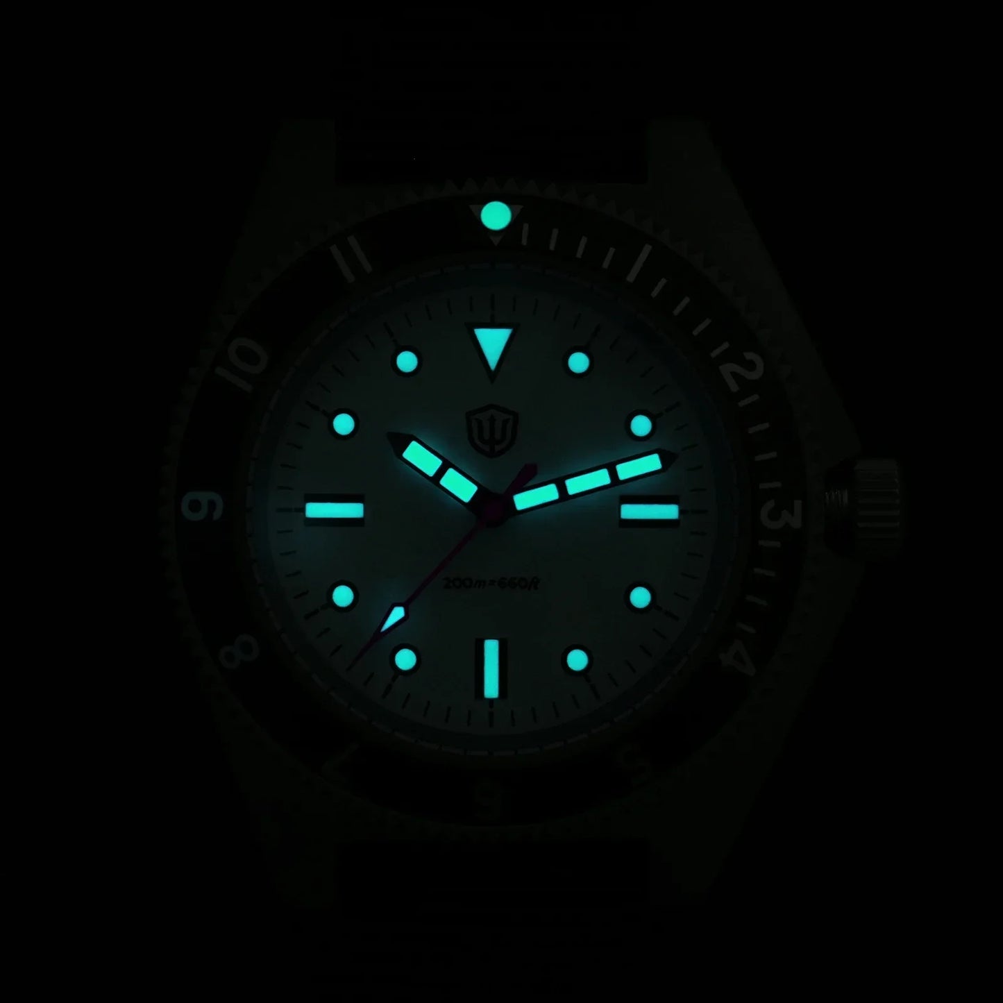 Watchdives WD1972 Quartz Watch VH31 Sweep Seconds Movement Sapphire Crystal BGW9 Luminous 20Bar Waterproof Vintage Men's Watches