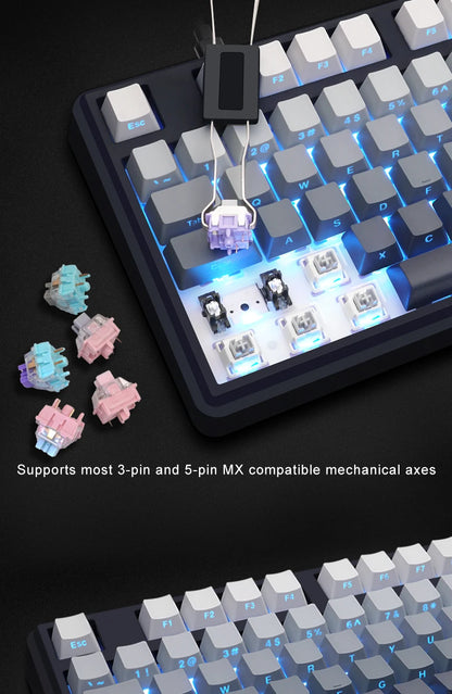 SKYLOONG GK104 Pro Wireless Mechanical Keyboard 100% Custom Keyboard Hot-Swappable Low-noise Switch for PC Gamer Office Accessories