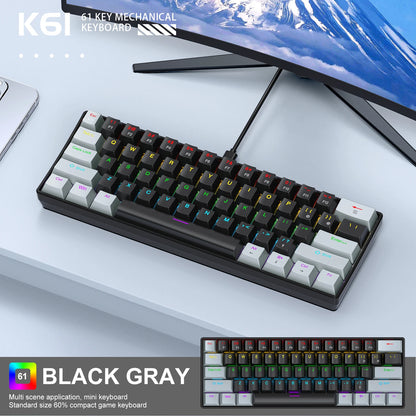 APAYADO K61 Mini Mechanical Keyboard, Wired, 61 Keys, Phantom RGB, Black/White Red/Blue Mechanical Switch for Gaming, 60% Portable