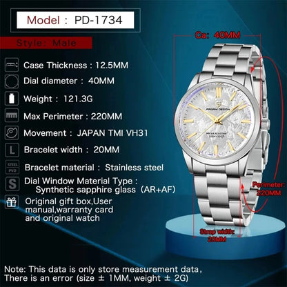 PAGANI DESIGN 40MM Meteorite Dial Men's Quartz Watches Luxury Business Sapphire 316L Stainless Steel 100M Waterproof Watch for Men