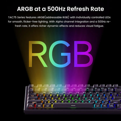 Tastiera AKKO TAC75 HE con switch magnetici 75% Gaming Keyboard Rapid Trigger 0.005mm 8K RGB cablata Esports, tastiera custom per gamer