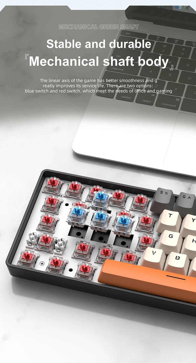 61 Keys RGB Mechanical Keyboard Wired K61 Mini Keyboard 60% Portable Black, White, Red/Blue Switch for Gaming/Work