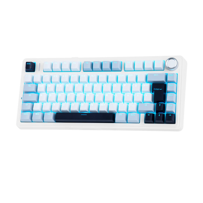 ISO-DE Layout EPOMAKER X AULA F75 75% German QWERTZ Hot-Swap Gasket Wired/Bluetooth/2.4G Wireless Mechanical Keyboard Knob/RGB