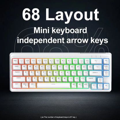 FREEWOLF M68SE tastiera mini cablata a 68 tasti, retroilluminazione RGB, Type-C, layout 68%, compatta, per gaming, ufficio, PC e laptop