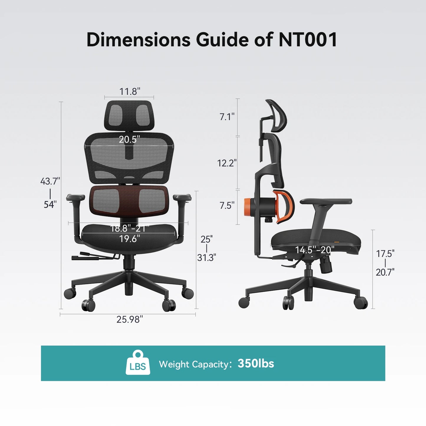 NEWTRAL NT001 Ergonomic Office Chair with Auto-Following Lumbar Support, 3 Recline Angles, Adjustable Backrest Armrest Headrest