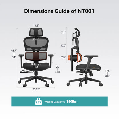 NEWTRAL NT001 Ergonomic Office Chair with Auto-Following Lumbar Support, 3 Recline Angles, Adjustable Backrest Armrest Headrest