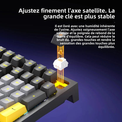 Mechanische kabelgebundene Gaming-Tastatur mit 108 Tasten und RGB-Hintergrundbeleuchtung | Gaming-Chip | Niedrige Latenz | Anti-Ghosting | Für PC-, Windows- und Mac-Gamer