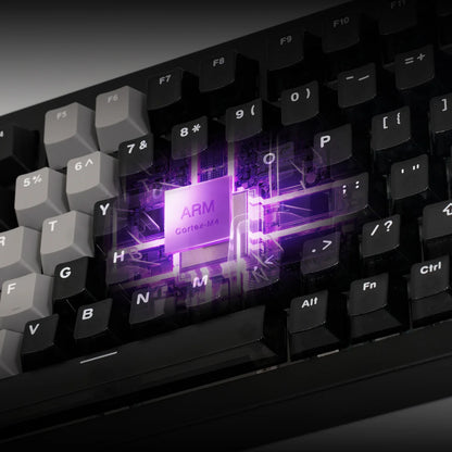 Akko 5075 V3 HE Magnetic Keyboard 75% Custom Mechanical Gaming Keyboard Rapid Trigger 0.005mm 8K Polling Rate ARGB